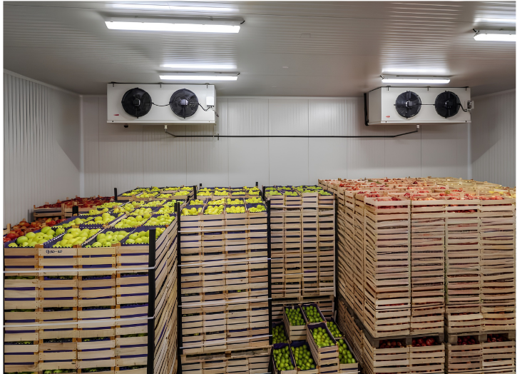 Cold Storage
