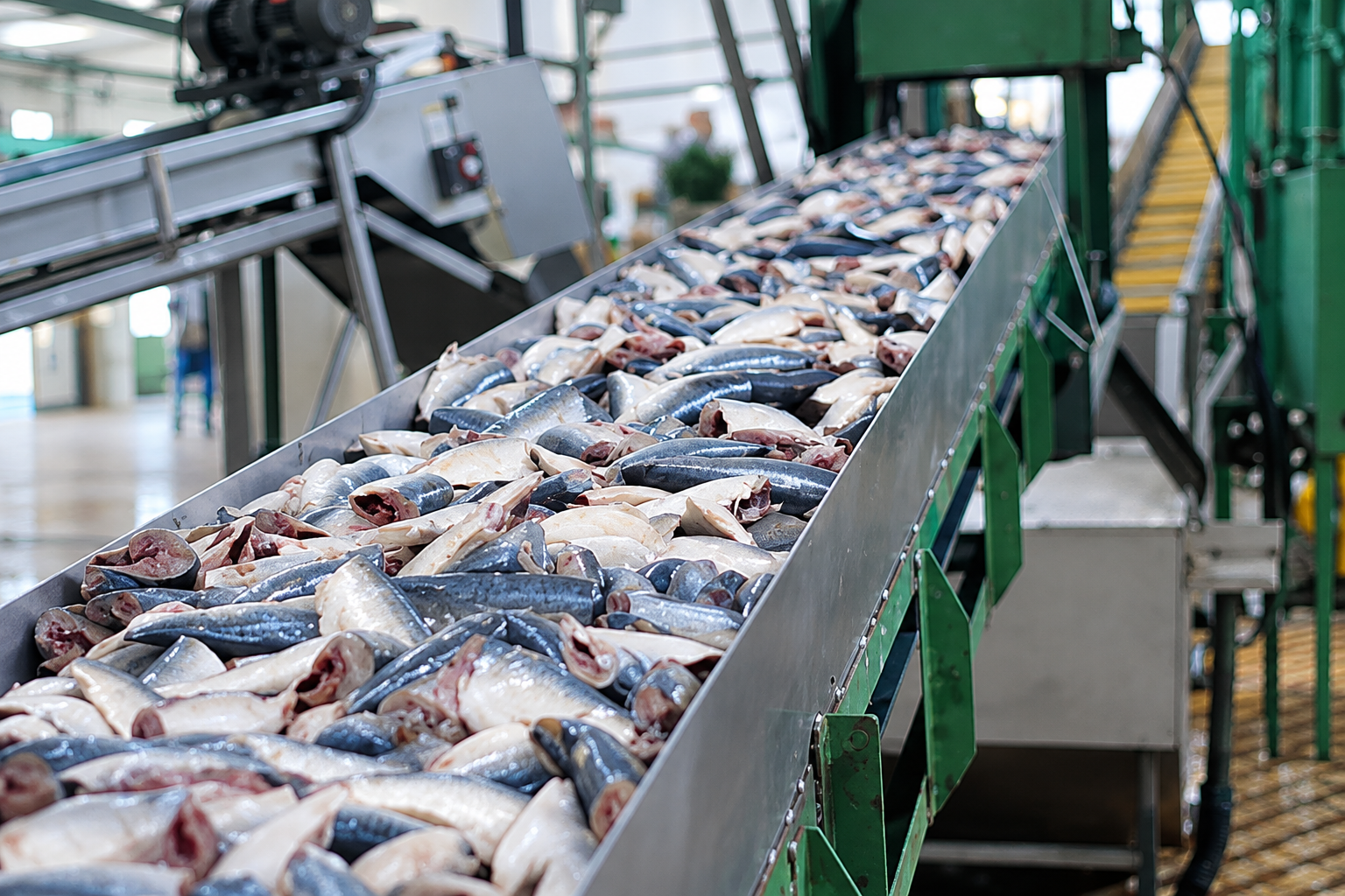 Seafood Cold Storage