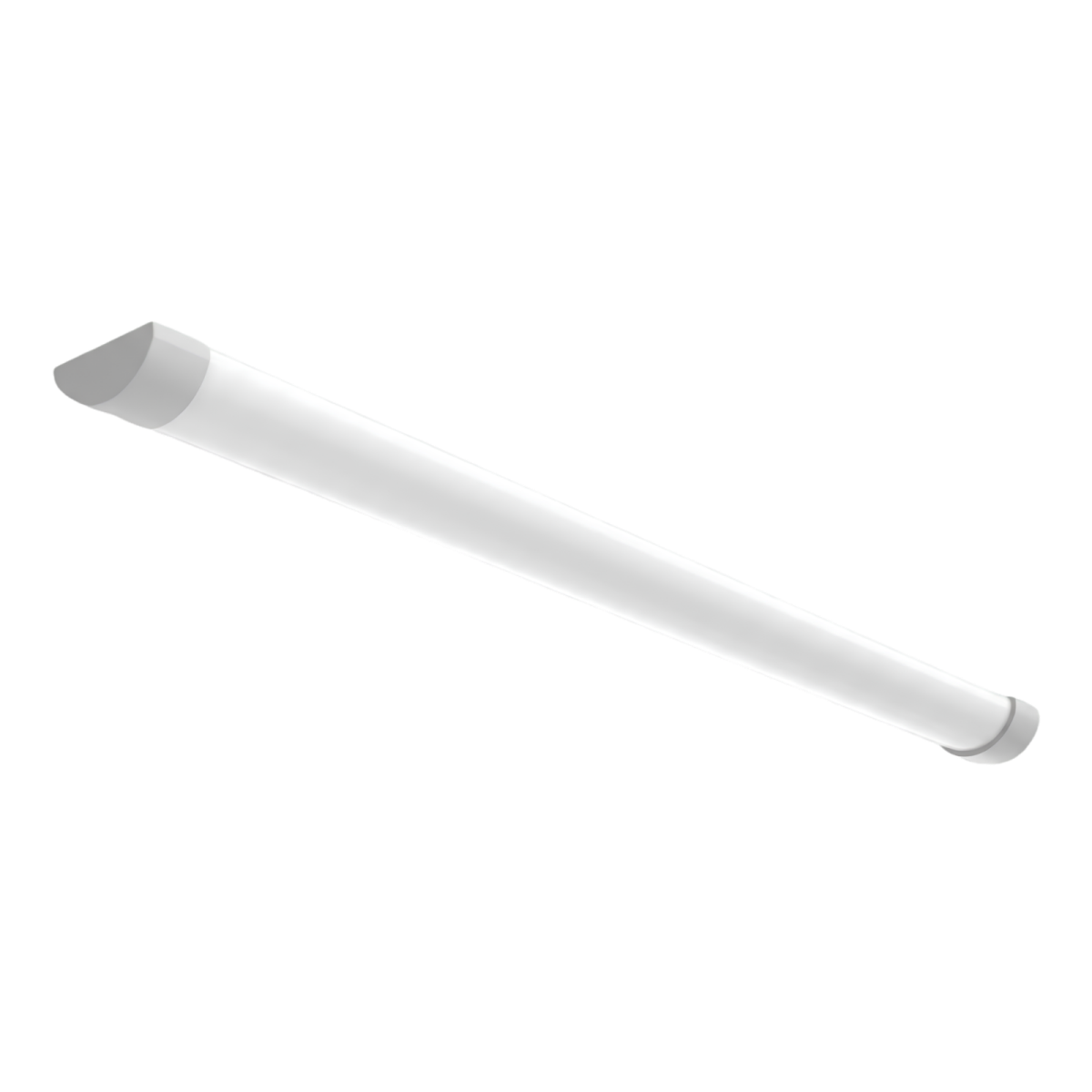 PP-BG-HM-40